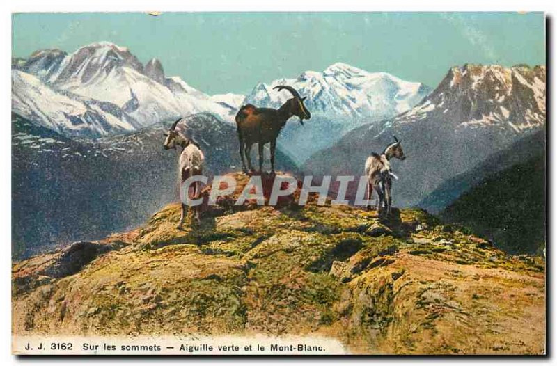 Old postcard On Summits Aiguille Verte and Mont Blanc Goats