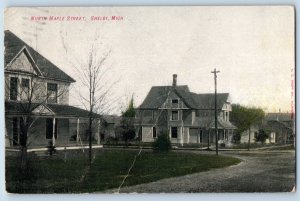Shelby Michigan Postcard North Maple Street Scene Building 1907 Antique Vintage