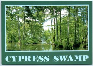 Postcard - Cypress Swamp - Shreveport, Louisiana