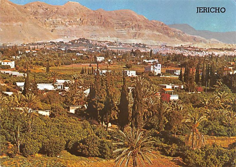 City of Palms in the Jordan Valley Jericho Israel 197 