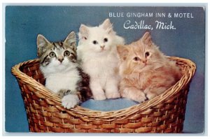 1956 Three Cats Blue Gingham Inn Motel Cadillac Michigan Vintage Posted Postcard