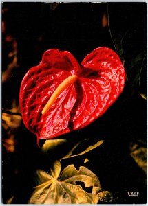 VINTAGE CONTINENTAL SIZED POSTCARD CARIBBEAN FLOWERS SURINAME STAMPS LOADED 1980