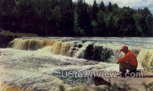 Tahquamenon River in Newberry, Michigan