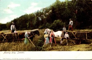 Sweden Farming Scene Making Hay