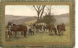 Horses. A weell earned drink  Tuck Framed Gem Glosse Farm Life Series PC # 721