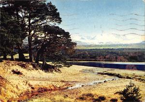 uk35729 cairngorms from loch morlich beach inverness scotland uk lot 3 uk