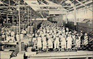 Honolulu Hawaii HI Dole Pineapple Cannery Workers Vintage Postcard