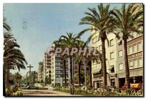 Postcard Modern Alicante Promenade Dr. Ordes and Croix des Heros graves