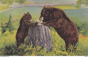 Bears , North Pacific , 1930-40s