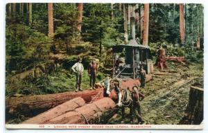 Logging With Donkey Engine Olympia Washington 1907 postcard