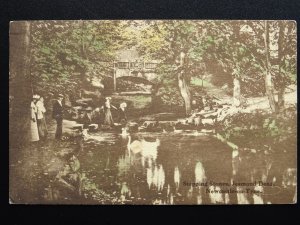 Newcastle upon Tyne JESMOND DENE Stepping Stones c1916 Postcard