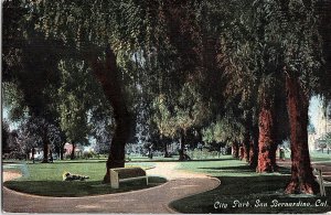 Postcard PARK SCENE San Bernardino California CA AI3185