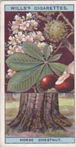 Wills Vintage Cigarette Card Flowering Trees &  Shrubs 1924 No 15 Horse Ch...