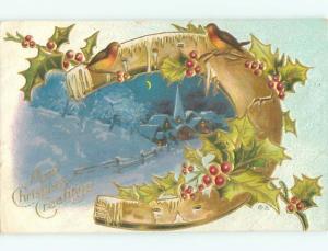 Divided-Back CHRISTMAS BIRDS SCENE Pretty Postcard W8513