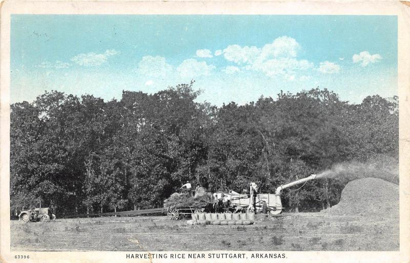 C34/ Stuttgart Arkansas AR Postcard c1920 Harvesting Rice Farming Occupational