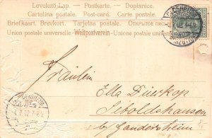 Passepartout 1901 Sea Landscape Seagulls Flag Starfish Shells embossed postcard