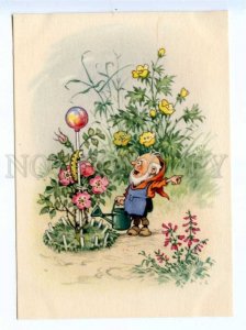 420255 GERMANY GDR 1956 year Gnome garden expels caterpillar BAUMGARTEN postcard