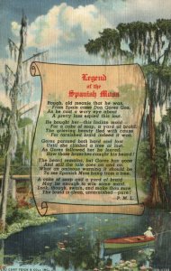 Vintage Postcard 1944 Legend of the Spanish Moss