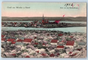 Brandenburg Germany Postcard Greetings from Werder a. Havel 1902 Antique Posted