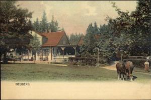 Heuberg Germany c1905 Postcard