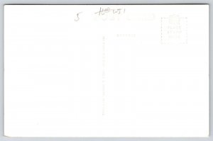 Engadine Michigan~Multicolor Brick High School~48 Star Flag~Distant Steps~RPPC