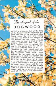 Legend of the Dogwood - 