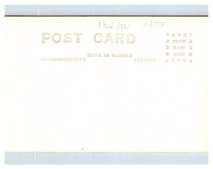 Dog Wagon, Children, Spinning Wheel , RPC