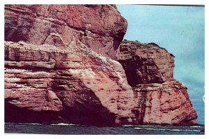 Postcard NATURE SCENE Perce Quebec QC AU1844