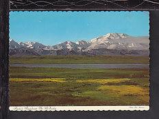 Mt McKinley,Alaska Postcard BIN 