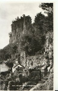 Herefordshire Postcard - The Yat Rock - Symonds Yat - Real Photograph - TZ11156