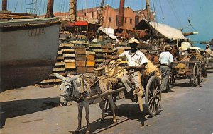 Donkey and Horse Drawn Carts Barbados West Indies Unused 