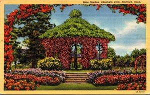 Connecticut Hartford Elizabeth Park Rose Garden Curteich