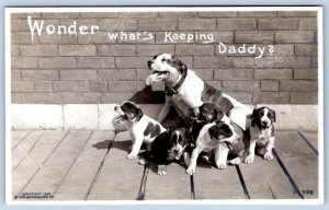 Pre-1907 RPPC ROTOGRAPH HOUND DOGS PUPPIES WONDER WHAT'S KEEPING DADDY POSTCARD