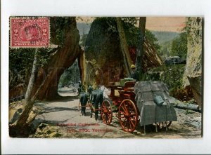 3138756 USA Beautiful CALIFORNIA Arch Rock YOSEMITE National