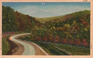 Vintage Postcard 1961 Greetings From Crowell Texas Roadway Forest Trees Mountain