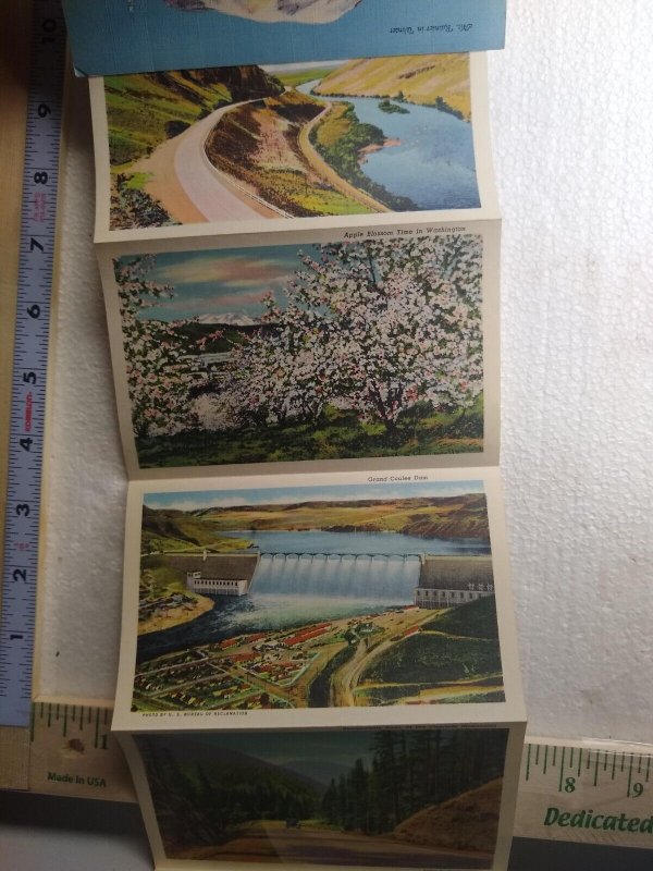 Postcard Folder Mt. Rainier in Winter, Washington