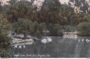 LOS ANGELES, California, 1900-1910s; West Lake Park, Swans