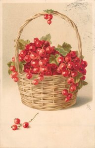 Sill life gooseberry red currant Meissner & Buch postcard 1906 Romanian stamp
