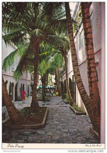 Palm Passage, Charlotte Amalie , St Thomas , Virgin Islands , 60s