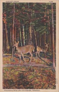 Deer A Hunter's Dream In Rhinelander Wisconsin 1945 Curteich