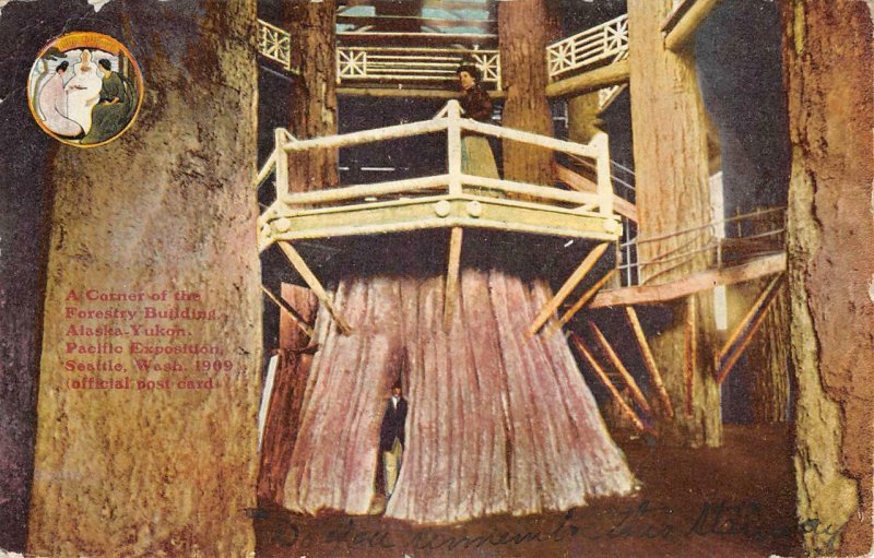 Forestry Building AYPE 1909 Seattle, WA Expo Treehouse Vintage Postcard