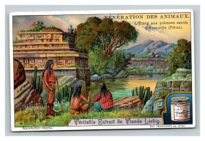 Vintage Liebig Trade Card - French - Veneration of Animals - Fish Pond of Peru