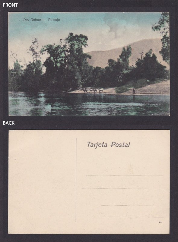 CHILE, Postcard, Rahue River, Rio Rahue, Landscape