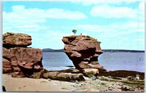 Postcard - Pulpit Rock on the west shore of Passamaquoddy Bay - Maine