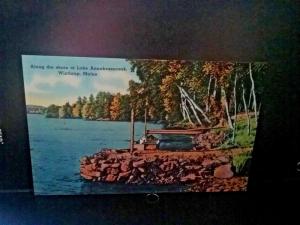 Postcard  Along the Shore od Lake Annabessacook Winthrop, Maine