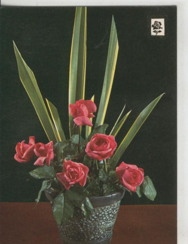 Postal 008768: Centro floral