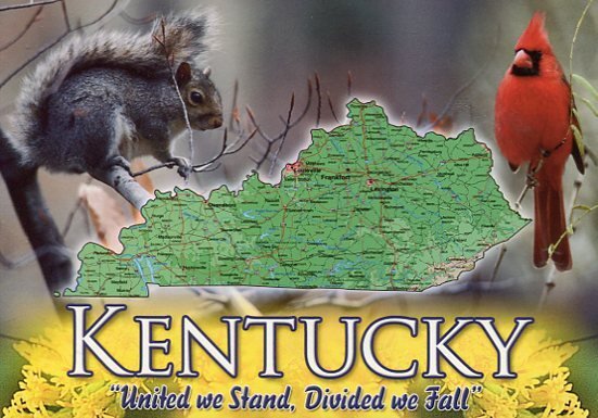 KENTUCKY  - UNITED WE STAND - MAP POSTCARD [6545]