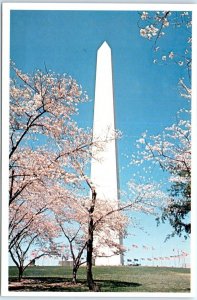 Postcard - The Washington Monument - Washington, District of Columbia