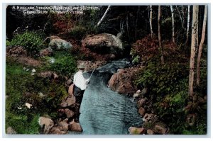 c1905 A Highland Stream Muskoka Lakes District Muskoka Ontario Canada Postcard