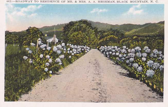 Road to Hegeman Residence - Black Mountain NC, North Carolina - WB